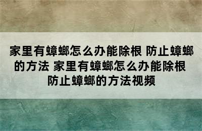 家里有蟑螂怎么办能除根 防止蟑螂的方法 家里有蟑螂怎么办能除根 防止蟑螂的方法视频